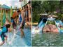 Collage 1