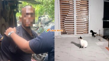 Ft Buat Perkara Tak Senonoh Dengan Kucing