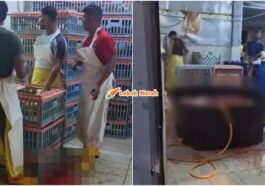 Penyembelihan Tidak Sah Jakim