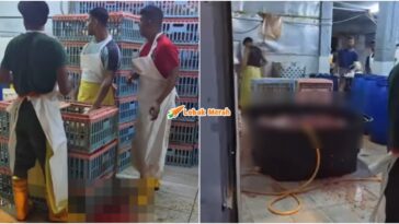 Penyembelihan Tidak Sah Jakim