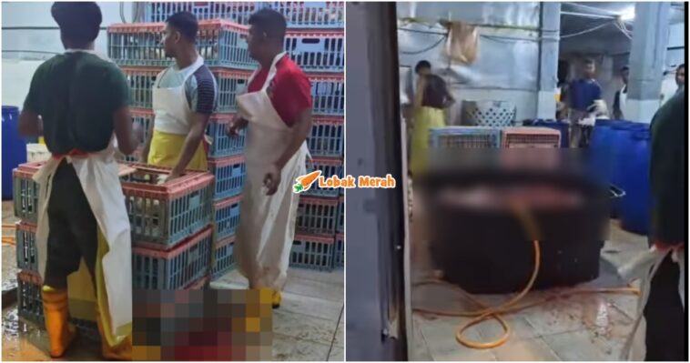 Penyembelihan Tidak Sah Jakim